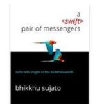 a-swift-pair-of-messengers