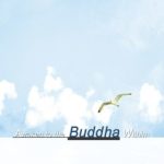 awaken-to-the-buddha-within