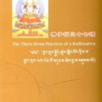 the-thirty-seven-practices-of-a-bodhisattva